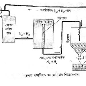 অ্যামোনিয়া প্রস্তুতির হেবারের পদ্ধতি