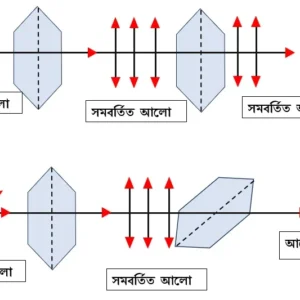 আলোর সমবর্তন Class 12 Notes