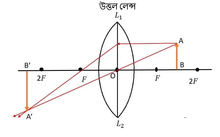 উত্তল লেন্সে সদ্‌, বিবর্ধিত প্রতিবিম্ব